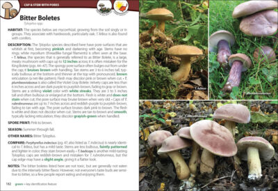 Mushrooms of the Upper Midwest - Image 3