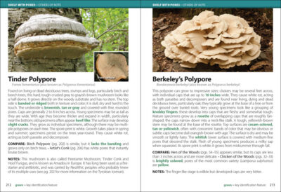 Mushrooms of the Upper Midwest - Image 5