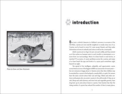 Myths & Truths About Coyotes - Image 3