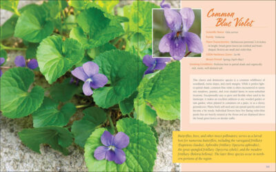 Native Plant Gardening for Birds, Bees & Butterflies: Southeast - Image 2