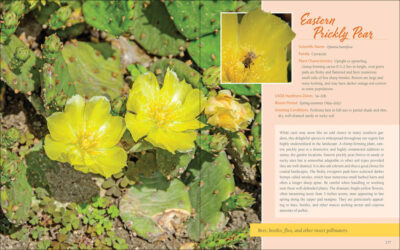 Native Plant Gardening for Birds, Bees & Butterflies: Southeast - Image 3