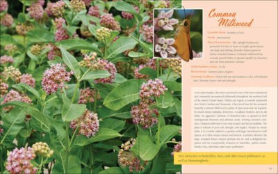 Native Plant Gardening for Birds, Bees & Butterflies: Southeast - Image 5