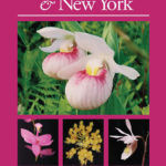 orchids_of_new_england_and_new
