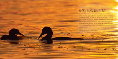 Our Love of Loons - Image 3