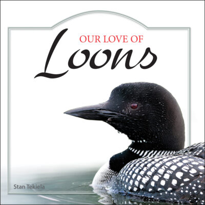 Our Love of Loons