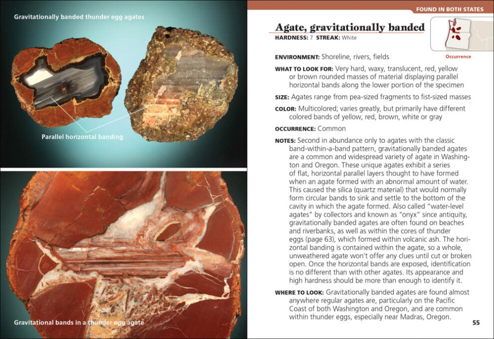 Rocks & Minerals of Washington and Oregon - AdventureKEEN Shop