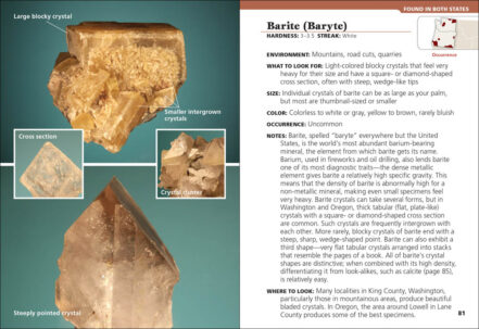 Rocks & Minerals of Washington and Oregon - AdventureKEEN Shop