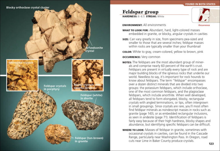 Rocks & Minerals of Washington and Oregon - AdventureKEEN Shop