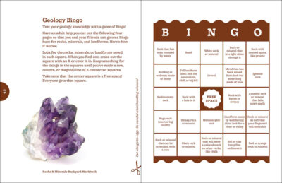Rocks & Minerals Backyard Workbook - Image 3