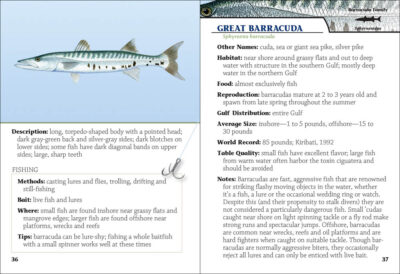 Saltwater Sport Fish of the Gulf Field Guide - Image 2