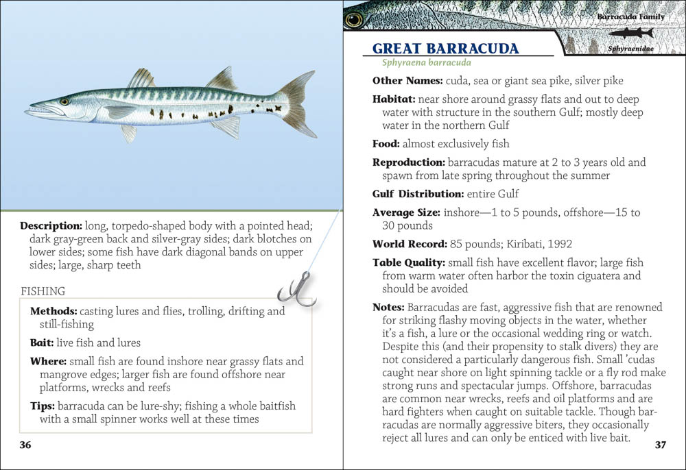 Saltwater Sport Fish of the Gulf Field Guide - AdventureKEEN Shop
