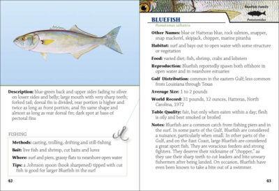 Saltwater Sport Fish of the Gulf Field Guide - Image 3