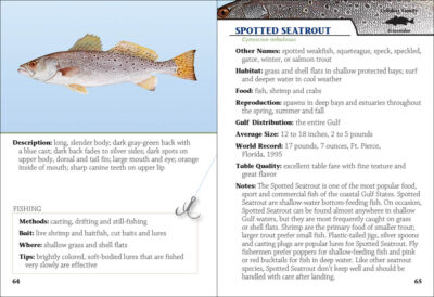 Saltwater Sport Fish of the Gulf Field Guide - Image 4