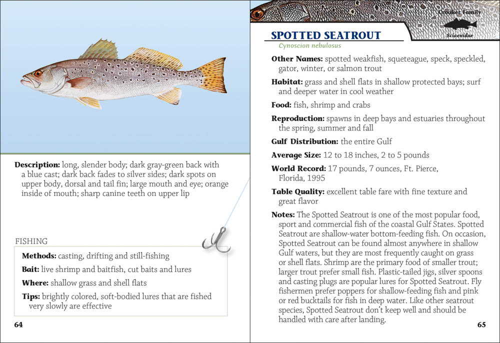 Saltwater Sport Fish of the Gulf Field Guide - AdventureKEEN Shop