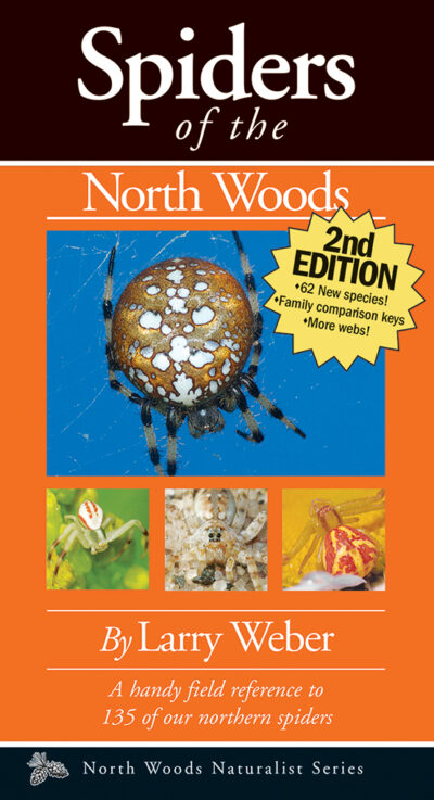 Spiders of the North Woods