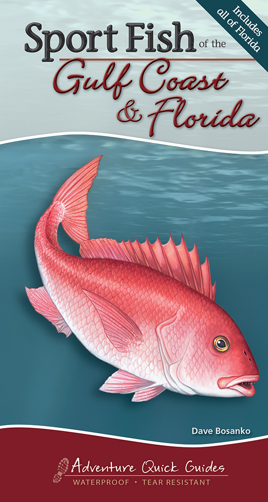 Fish the Gulf by Siegleco, LLC
