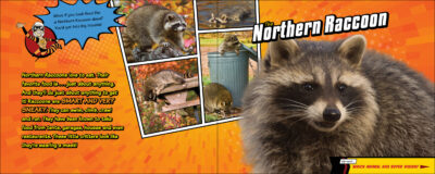 Super Animal Powers - Image 2