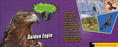 Super Animal Powers - Image 3