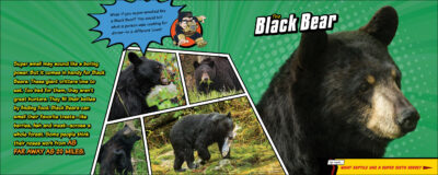 Super Animal Powers - Image 4