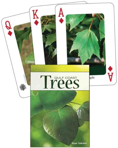 Trees of the Gulf Coast Playing Cards