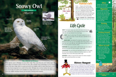 Wild About Michigan Birds - Image 4