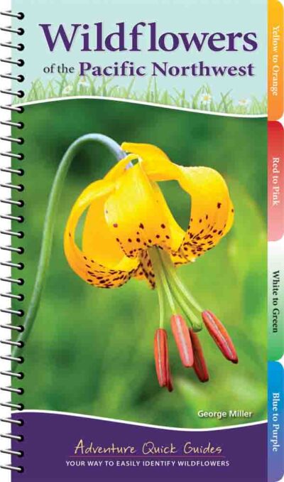 Wildflowers of the Pacific Northwest
