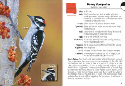 Birds of the Dakotas Field Guide - Image 3