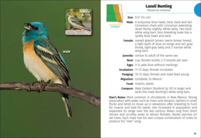 Birds of the Dakotas Field Guide - Image 4