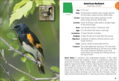 Birds of the Dakotas Field Guide - Image 5