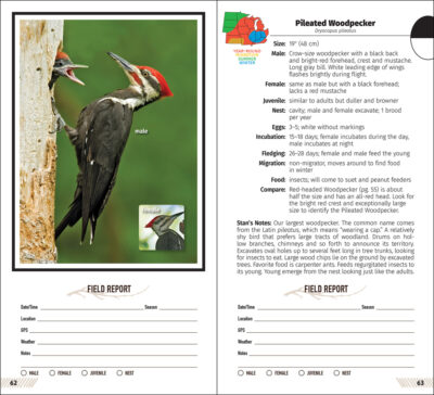 Midwest Birding Companion - Image 2