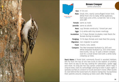 Birds of Ohio Field Guide - Image 4