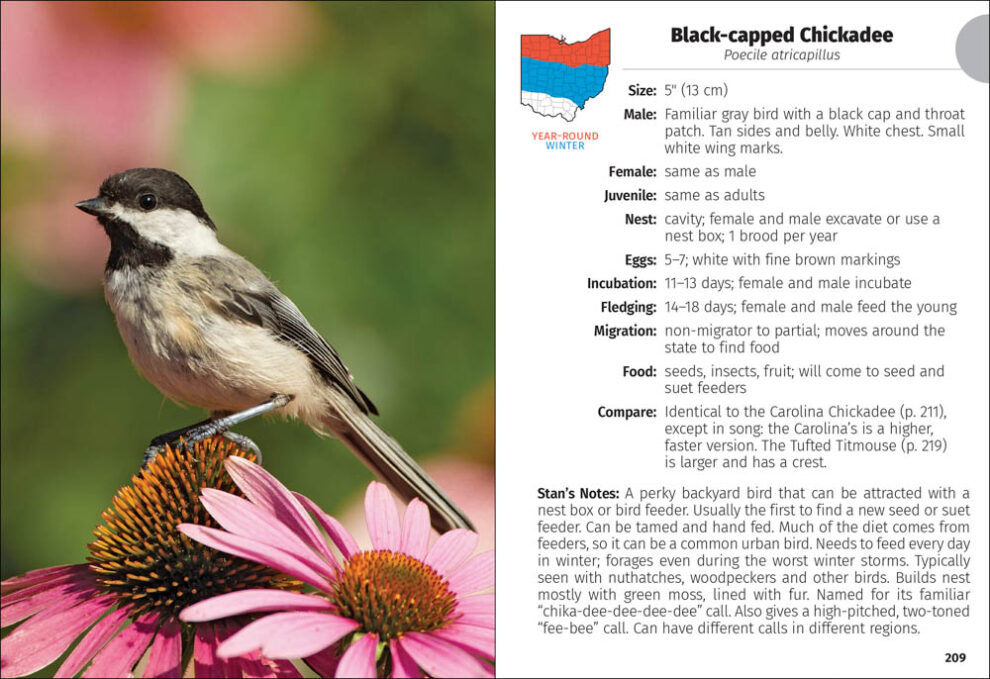 Birds of Ohio Field Guide - AdventureKEEN Shop