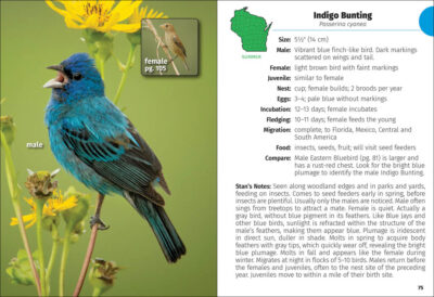 Birds of Wisconsin Field Guide - Image 4