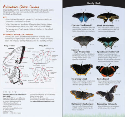 Butterflies of the South & Southeast - Image 2