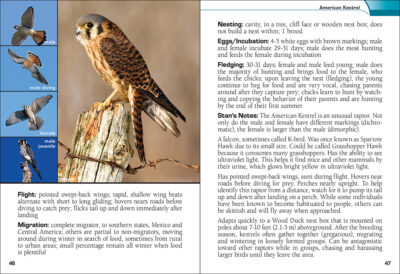 Birds of Prey of the Midwest Field Guide - Image 3