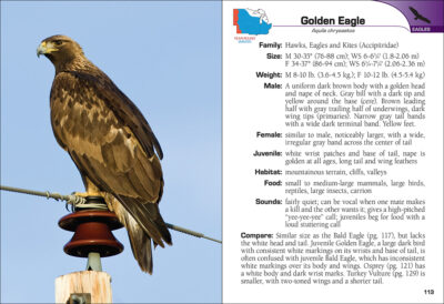 Birds of Prey of the Midwest Field Guide - Image 4
