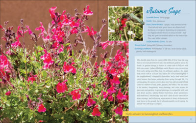 Native Plant Gardening for Birds, Bees & Butterflies: South - Image 2