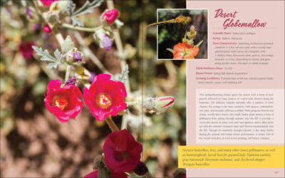 Native Plant Gardening for Birds, Bees & Butterflies: Southern California - Image 4
