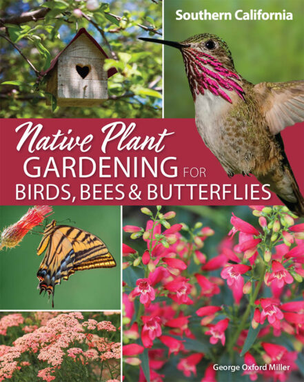 Native Plant Gardening for Birds, Bees & Butterflies: Southeast ...