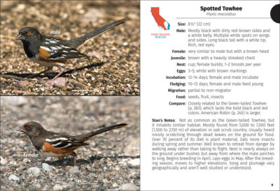 Birds of California Field Guide - Image 2