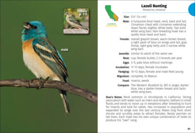 Birds of California Field Guide - Image 4