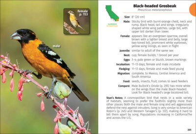 Birds of California Field Guide - Image 5
