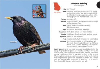 Birds of Georgia Field Guide - Image 2