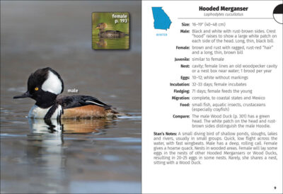 Birds of Georgia Field Guide - Image 3