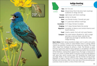 Birds of Georgia Field Guide - Image 4