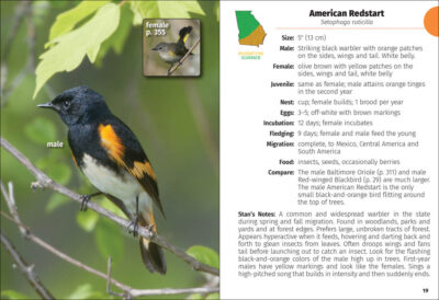 Birds of Georgia Field Guide - Image 5