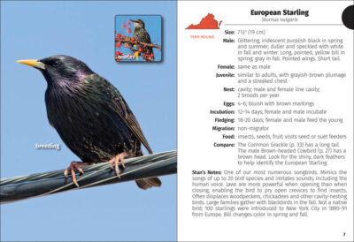Birds of Virginia Field Guide - Image 2