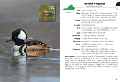 Birds of Virginia Field Guide - Image 3