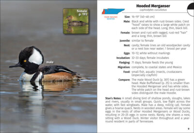 Birds of Tennessee Field Guide - Image 2