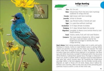Birds of Tennessee Field Guide - Image 3